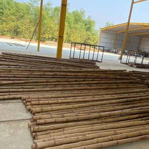 เสาไม้ไผ่แบบเป็นมิตรต่อสิ่งแวดล้อมสำหรับรองรับพืชผลทางการเกษตร - Product Image 3
