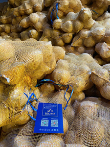 Noix de coco naturelle semi-décortiquée, noix de coco fraîche mûre avec eau, 100% biologique, export en vrac à prix d'usine - Product Image 6