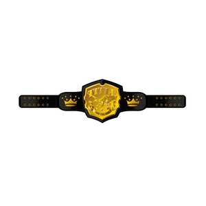 Ceinture de championnat personnalisée pour tournoi de club, ceinture de titre pour la lutte, la boxe et les arts martiaux - Product Image 1