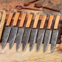 Couteaux de cuisine et de barbecue professionnels en acier Damas à lame pleine, faits à la main, manche en bois, ambidextres, finition brossée, tranchants comme des rasoirs