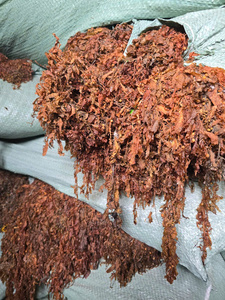Sargassum Muticum Seco de Alta Calidad de Vietnam |   Algas Marinas Naturales |   Venta al por Mayor y Exportación |   Sra. Anna – Viet Delta - Product Image 4
