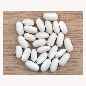 ถั่วขาวขาวแห้งถั่วขาวยาวเพื่อสุขภาพ - Product Image 6