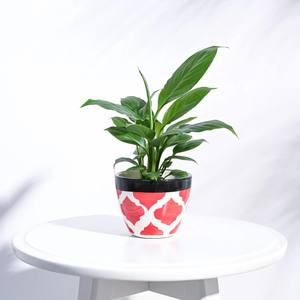 Pot de fleurs en céramique émaillée décoratif, motif vibrant, finition durable, support pour plantes d'intérieur, décoration moderne élégante pour la maison - Product Image 1