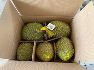 Pulpa de Durian Congelada de Nueva Cosecha 2026, Sabor Dulce Natural - Product Image 3