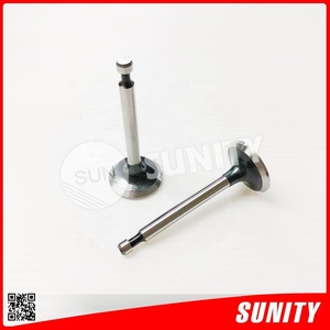 SUNITY ไต้หวันในอดีต GX160 OEM 14711-ZF1-000, 14721-ZF1-000สำหรับชิ้นส่วนเครื่องยนต์ฮอนด้าการ์เด้น - Product Image 5