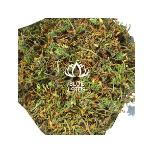 BEST SELLER Thé aux fleurs de papaye séchées naturelles pures, thé aux herbes relaxant avec un arôme unique - Product Image 2