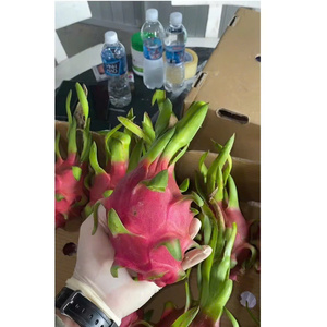 Dragon <span class=keywords><strong>fruit</strong></span> blanc doux, saveur rafraîchissante standard, qualité export OEM, ODM, 100% naturel, frais - Product Image 2