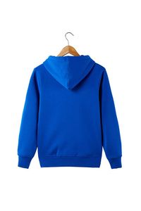Sweat à capuche pull-over streetwear anti-rétrécissement pour homme en promotion à prix réduit - Product Image 5