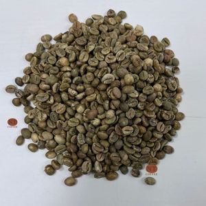 Grains de café Robusta S16 non torréfiés, arôme riche, corps corsé, approvisionnement en vrac pour les acheteurs B2B, service OEM/ODM disponible, marque privée - Product Image 1