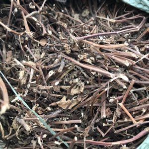 Gelée de plantes du Vietnam brute pour la sélection des chefs professionnels et la création de gelées aux herbes de qualité supérieure pour les bars à jus - Product Image 1