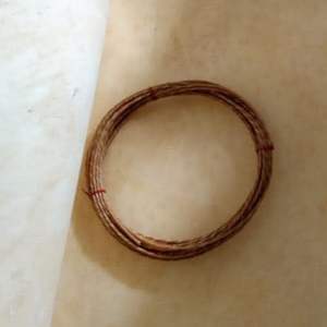 image is of a hank of braided <b>cord</b>, likely made from natural materials such as <b>leather</b> or gut - Product Image 2