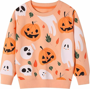 Women's Casual Solid Yarn Dyed Long Sleeve <b>Sweatshirt</b> with Badge Front Printing for Winter Season 100% Cotton - Product Image 1