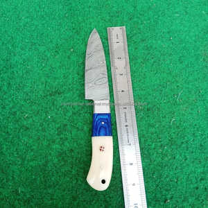 Couteau de cuisine japonais artisanal en acier Damas écologique avec manche en os de chameau et étui en cuir pour chef, idéal pour l'épluchage et le désossage - Product Image 6