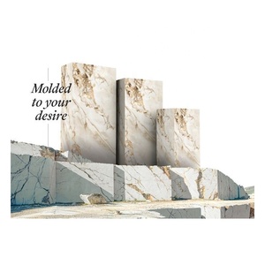 Worldwave International Dernière Nouvelle Collection 1200x2400mm Carreaux de Porcelaine Émaillée Moderne Format Grande Dalle Fabrication Inde - Product Image 2