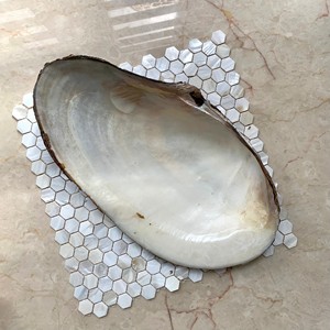 Conchas de nácar natural a buen precio, conchas crudas hermosas para decoración costera - Product Image 3