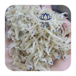 ปลาแอนโชวี่แห้งคัดสรรพิเศษ ขนาดเล็ก สำหรับทำอาหารแบบดั้งเดิม บรรจุภัณฑ์แบบขายส่ง ผลิตในเวียดนาม [ขายดี] - Product Image 1