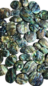 Cuentas de Concha de Abulón Natural de Alta Calidad, Tamaños Variados, Hermoso Color Arcoíris Natural, Púrpura, Verde, Color Pavo Real, para la Fabricación de Joyas - Product Image 3