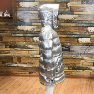 Veste matelassée à capuche argentée, fermeture éclair, coupe-vent, épaisse, pour l'hiver, unisexe, décontractée, couleur unie, manches longues, doublure en fausse fourrure - Product Image 5