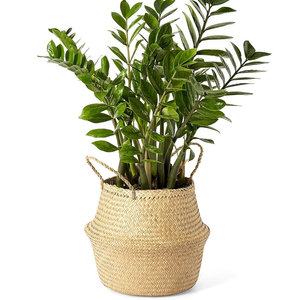 Handwoven Coastal <b>Storage</b> Decorative <b>Basket</b> <b>Seagrass</b> Collection - Product Image 1