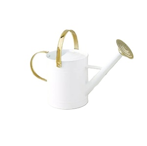 Arrosoir en métal noir mat exclusif pour plantes de jardin, grande capacité et bec verseur facile pour les besoins d'arrosage - Product Image 6