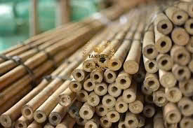 Piquets en bambou naturel droit, grands piquets en bambou pour la décoration - Product Image 3