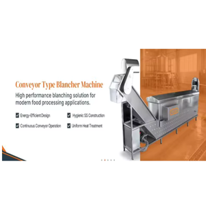 Machine de Blanchiment Automatique à Convoyeur en Acier Inoxydable pour Fruits et Légumes avec Système de Contrôle PLC Industriel - Product Image 1