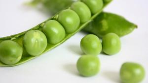 Petits pois verts surgelés frais IQF en vrac pour la restauration, la transformation alimentaire et l'exportation – Qualité standard - Product Image 5
