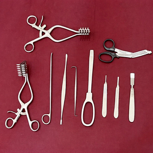 Juego de Cirugía Ortopédica Básica de 10 Piezas, Instrumentos Ortopédicos - Product Image 3