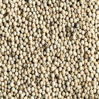 Poivre blanc de bonne qualité à bas prix, fournisseur en gros d'usine, poivre blanc de qualité supérieure 100% séché