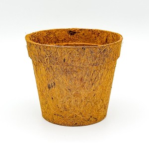 Macetas de fibra de coco natural para cuarto de bebé, maceta de coir de coco, precio barato a granel, mejor venta, fabricante de Vietnam - Product Image 5