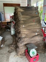 Tongkat sapu kelapa alami Midrib kelapa untuk alat menyapu luar ruangan profesional warna coklat dari Vietnam tongkat sapu kelapa