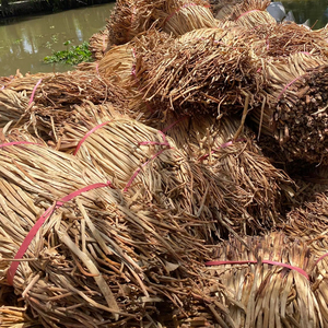 Vente en gros de matière première écologique en jacinthe d'eau séchée pour tapis artisanaux et de cuisson, prête à l'exportation en vrac - Mme Lily - Product Image 6