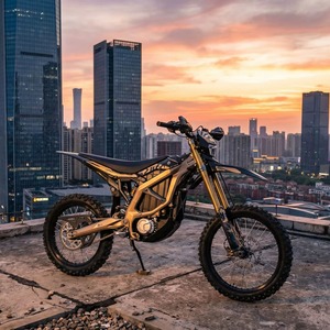 Moto électrique tout-terrain Suron 74v 60ah Ultra Bee 21kw 2025 pour adultes, vitesse maximale de 95 km/h, puissance maximale de 21 kw, Sutton LBX - Product Image 2