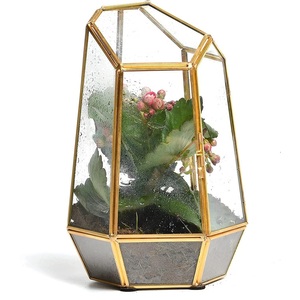 Terrario de Cristal Transparente, Recipiente Decorativo Ecológico para Plantas de Interior, Suculentas, Plantas Aéreas y Miniaturas - Product Image 3
