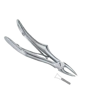 Forceps manuels d'extraction dentaire de qualité supérieure, modèle Fig.137, en acier inoxydable, certifiés CE, instruments chirurgicaux personnalisés, vente chaude - Product Image 4