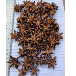 CHEAPEST wholesale price autumn STAR ANISEED star anise original Vietnam best quality with high oil suitable for spices (Grace)