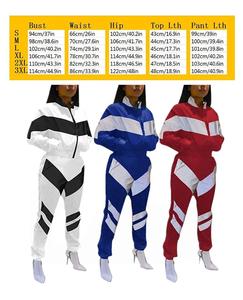 Conjunto Deportivo Casual de Moda para Mujer, de Alta Calidad, Manga Larga, para Adultos - Product Image 3