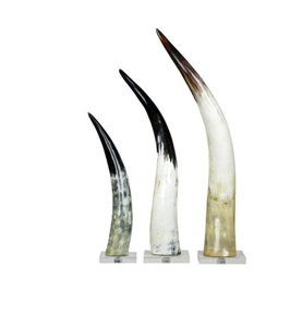 High quality Buffalo Horn <b>Decorative</b> Pieces Marble Stand Glossy Finished Handcrafte Eco-Friendly Durable All Size Horn <b>Decorate</b> - Product Image 1