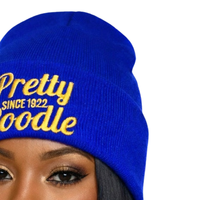 Joli bonnet bleu Poodle pour femme, bonnet tricoté brodé, chaud pour l'hiver, décontracté et élégant