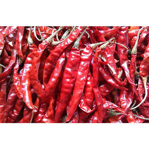 Piment rouge séché entier allongé cru biologique 100% pur Herbes et épices uniques FitTree International Export Standard - Product Image 5