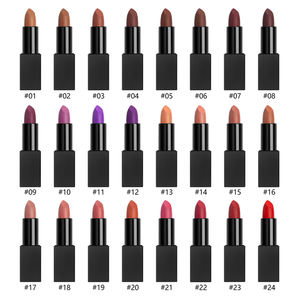 Ensemble de rouges à lèvres mats veloutés 24 couleurs, marque privée, longue tenue, non desséchant, couleur veloutée, couvrance totale, kit de maquillage - Product Image 4