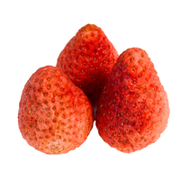 Prêt à consommer Sain Nourriture saine Délicieuse Produits aux fruits Fruits secs Fraise lyophilisée Fabriqué au Vietnam