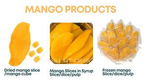 Natural Premium Soft Dried Mango from Vietnam with Golden Color and Tropical Rich Flavor - Product Image 4