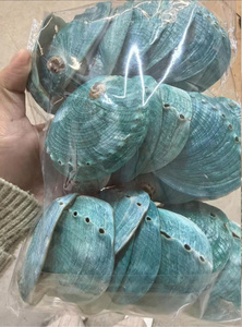 เปลือกหอยเป๋าฮื้อธรรมชาติ วัสดุตกแต่งรักษ์โลก สีรุ้งขัดเงาจากเวียดนาม สำหรับงาน DIY งานฝีมือ เครื่องประดับ และของตกแต่งบ้าน - Product Image 4