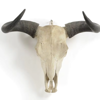 Crâne de buffle sculpté poli, sculpture artisanale exquise, cornes majestueuses, écologique, luxe, classique, animalier, contemporain