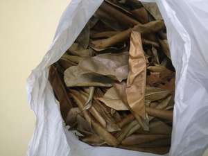 Té de hojas de Graviola de Vietnam, hojas de Guanábana naturales secadas al sol, té de hierbas empaquetado a granel para OEM y exportación - Product Image 3