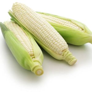 Expédition en vrac de maïs blanc frais pour l'exportation, qualité grain pur, en sacs sous vide, destiné aux importateurs, par un fournisseur alimentaire de confiance - Product Image 1
