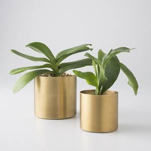 ขาตั้งต้นไม้เหล็กตกแต่งสำหรับบ้านและสวน - Product Image 3