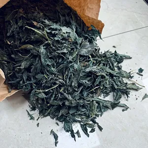 Poudre de feuilles d'indigo en gros, naturelle et pure, qualité cosmétique, Indigofera tinctoria, pour coloration et maintien de la douceur des cheveux, export en vrac - Product Image 5
