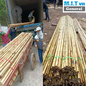 Estacas de Bambú Natural de 0.5 a 5 m de Longitud, Diámetro Personalizado, para Jardín y Agricultura, Suministro de Fábrica - Product Image 6